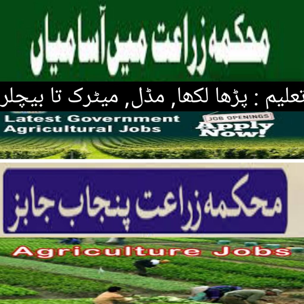 Agriculture Department Punjab October Jobs 2022 | www.agripunjab.gov.pk | Department of Agriculture Punjab Jobs 2022 Rawalpindi