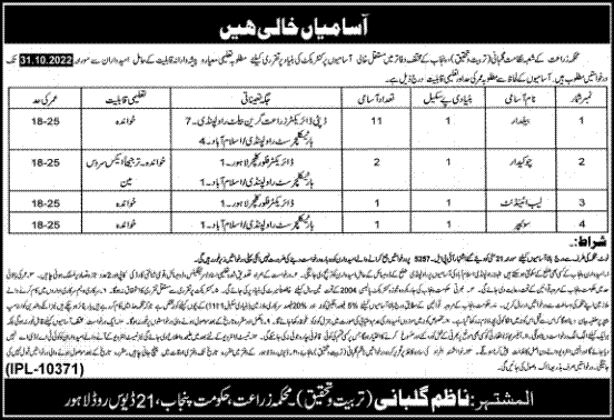 Agriculture Department Punjab October Jobs 2022 | www.agripunjab.gov.pk | Department of Agriculture Punjab Jobs 2022 Rawalpindi