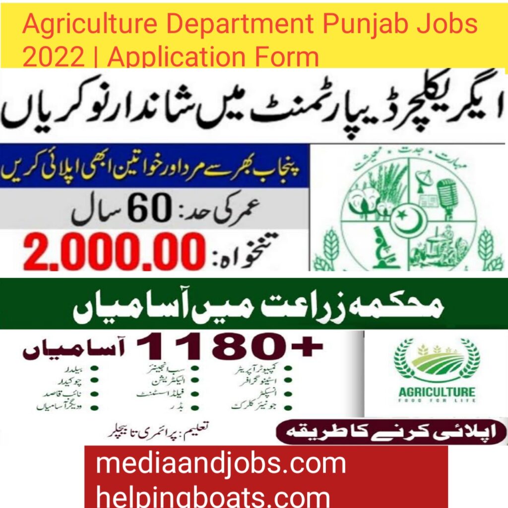 Agriculture Department Punjab Jobs 2022 | Application Form