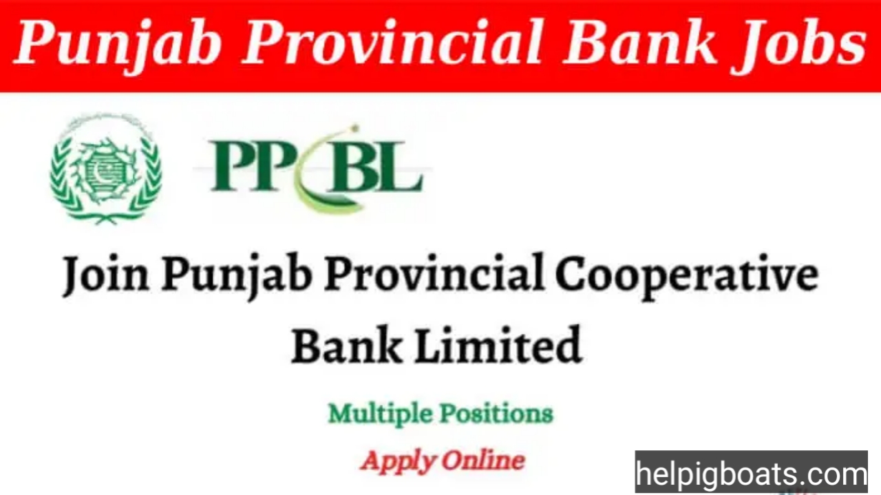 The Punjab Provincial Cooperative Bank Jobs 2023 - Advertisement