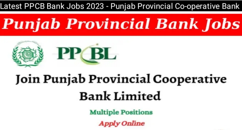 Latest PPCB Bank Jobs 2023 - Punjab Provincial Co-operative Bank LTD