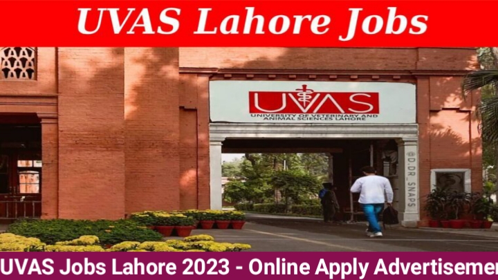 UVAS Jobs Lahore 2023 - Online Apply