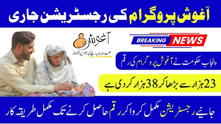 پنجاب انروش پروگرام 2025 – حاملہ خواتین اور ماؤں کے لیے ایک تاریخی قدم